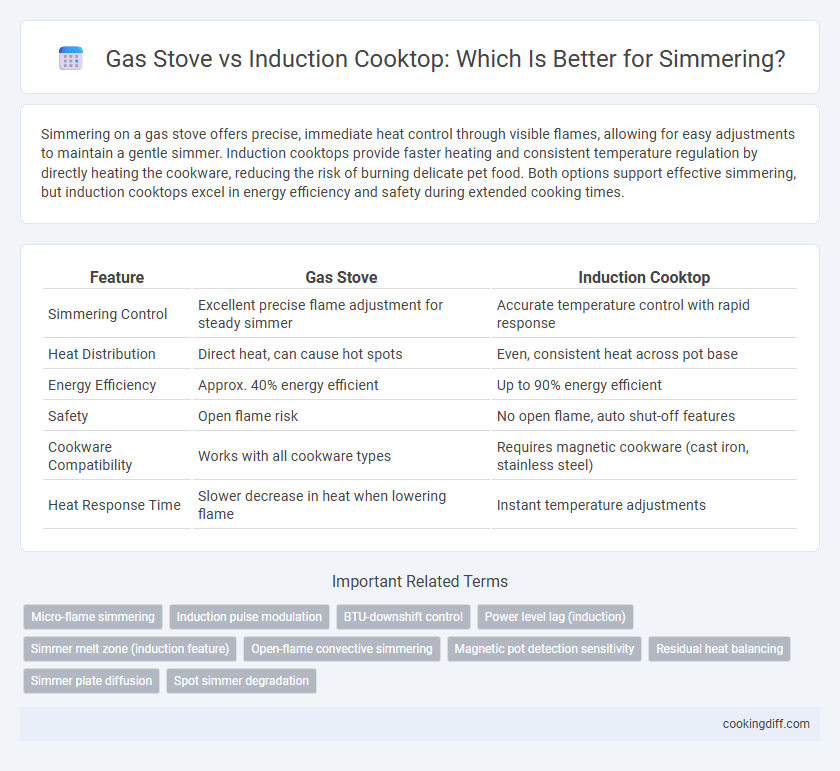 Gas Stove vs Induction Cooktop: Which Is Better for Simmering?