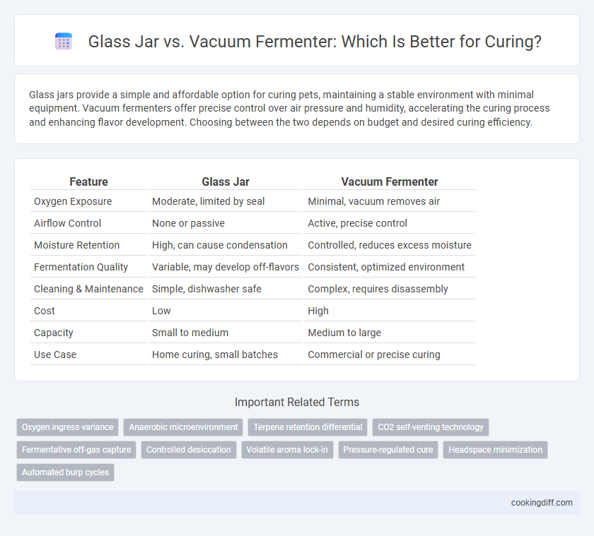 Glass Jar vs. Vacuum Fermenter: Which Is Better for Curing?