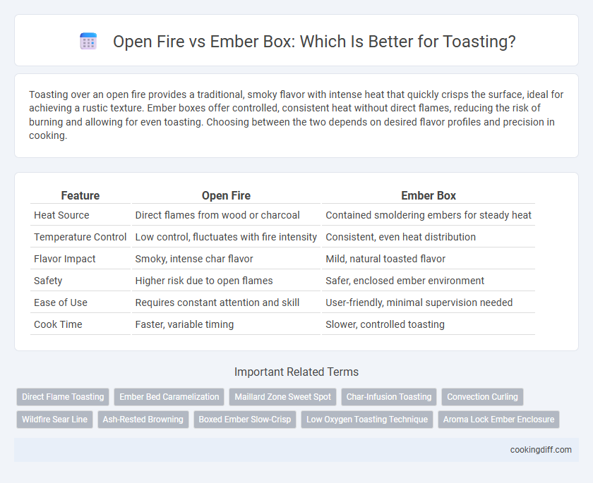 Open Fire vs Ember Box: Which Is Better for Toasting?