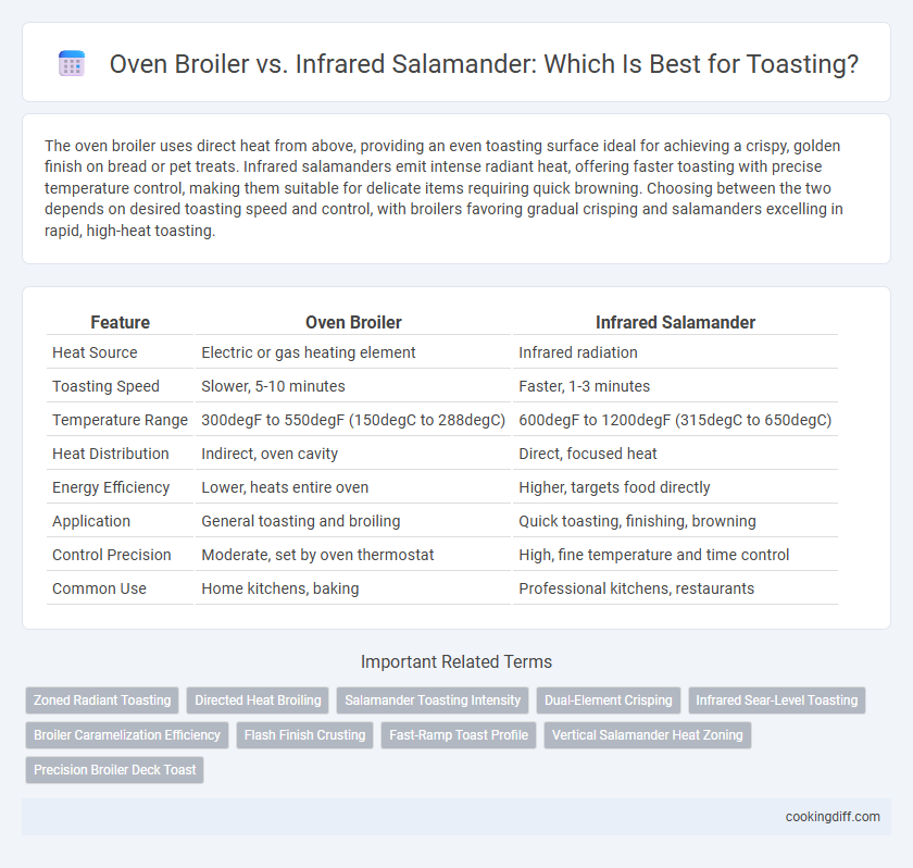 Oven Broiler vs. Infrared Salamander: Which Is Best for Toasting?