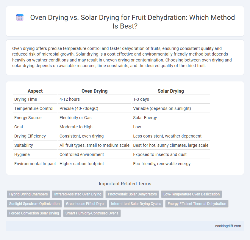Oven Drying vs. Solar Drying for Fruit Dehydration: Which Method Is Best?