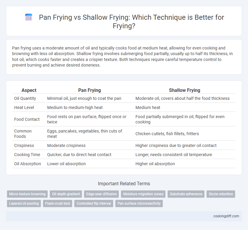 Pan Frying vs Shallow Frying: Which Technique is Better for Frying?
