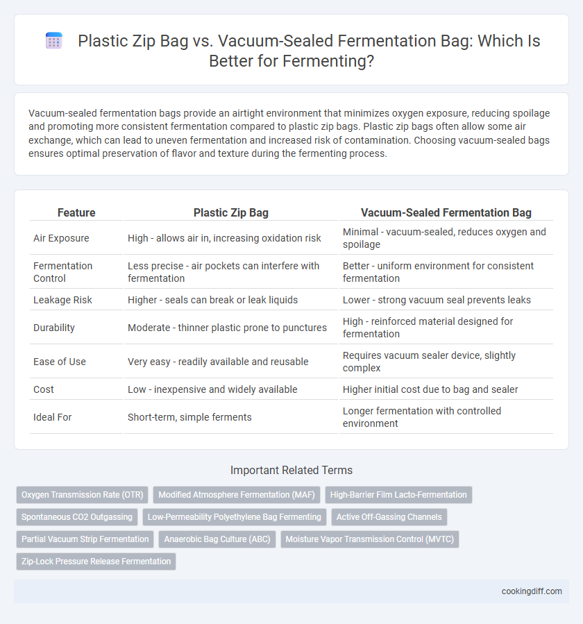 Plastic Zip Bag vs. Vacuum-Sealed Fermentation Bag: Which Is Better for Fermenting?