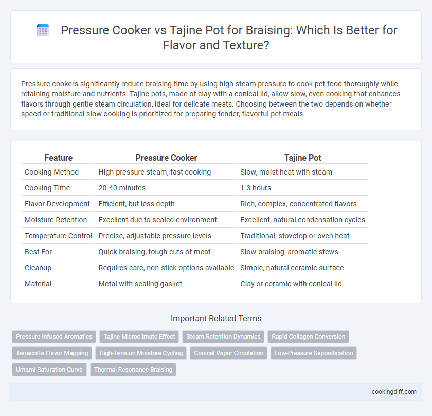 Pressure Cooker vs Tajine Pot for Braising: Which Is Better for Flavor and Texture?