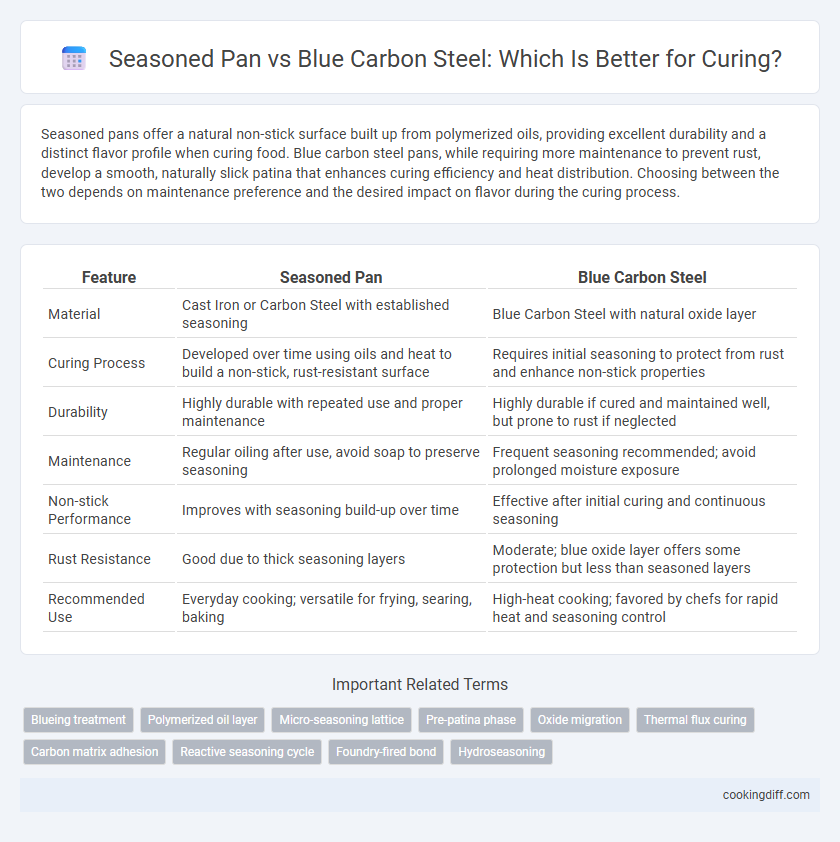 Seasoned Pan vs Blue Carbon Steel: Which Is Better for Curing?