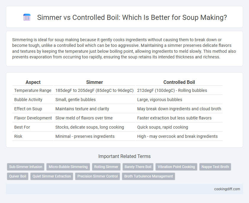 Simmer vs Controlled Boil: Which Is Better for Soup Making?