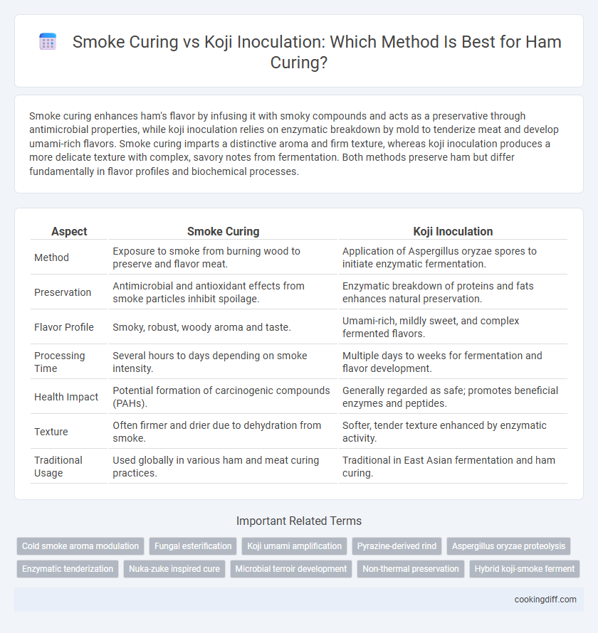 Smoke Curing vs Koji Inoculation: Which Method Is Best for Ham Curing?