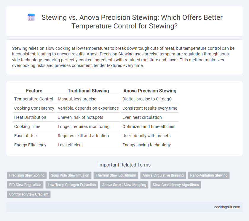 Stewing vs. Anova Precision Stewing: Which Offers Better Temperature Control for Stewing?