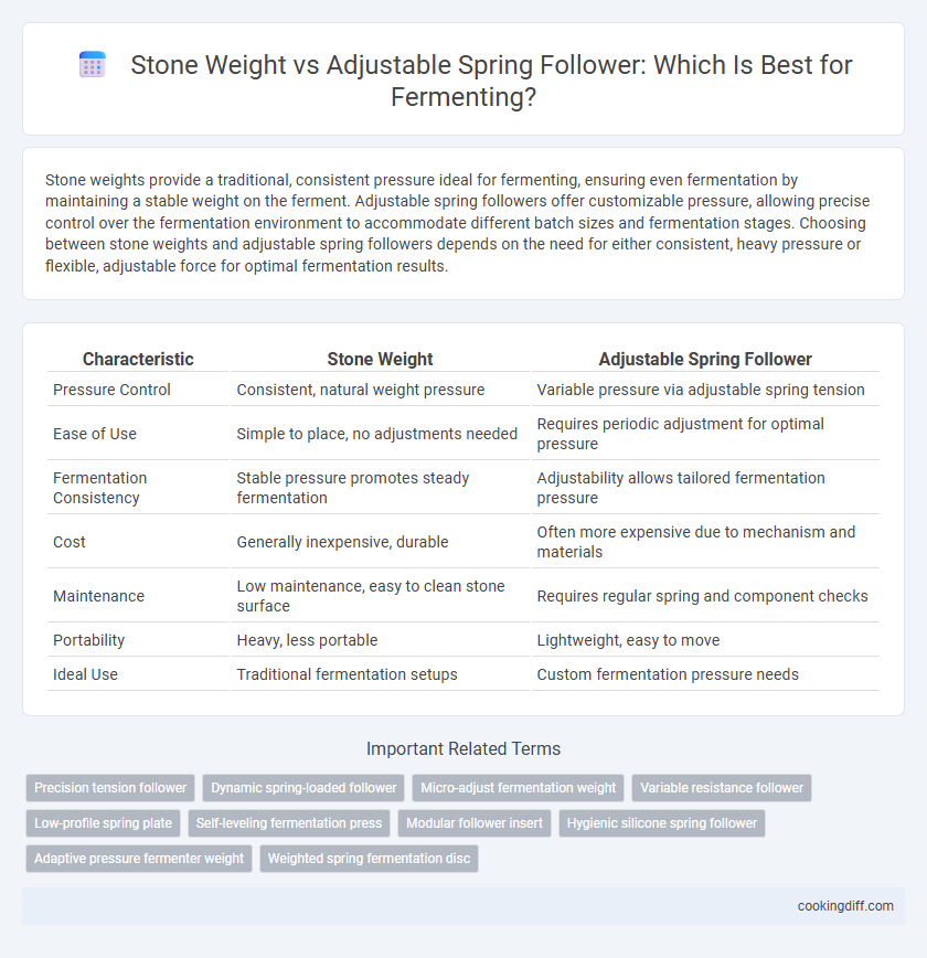 Stone Weight vs Adjustable Spring Follower: Which Is Best for Fermenting?