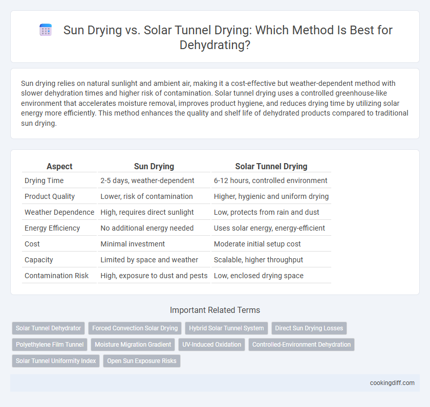 Sun Drying vs. Solar Tunnel Drying: Which Method Is Best for Dehydrating?