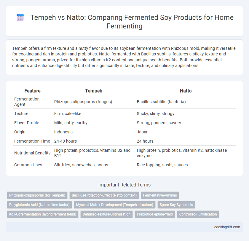 Tempeh vs Natto: Comparing Fermented Soy Products for Home Fermenting