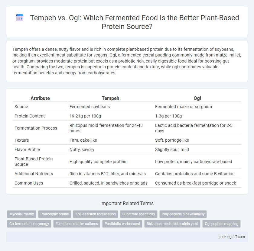 Tempeh vs. Ogi: Which Fermented Food Is the Better Plant-Based Protein Source?