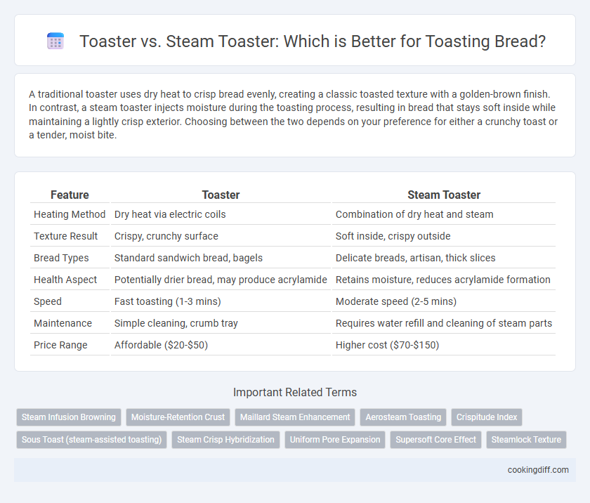 Toaster vs. Steam Toaster: Which is Better for Toasting Bread?