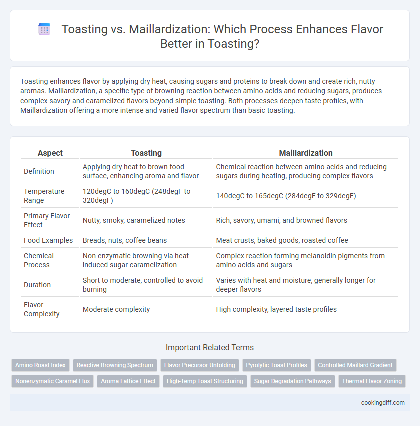 Toasting vs. Maillardization: Which Process Enhances Flavor Better in Toasting?