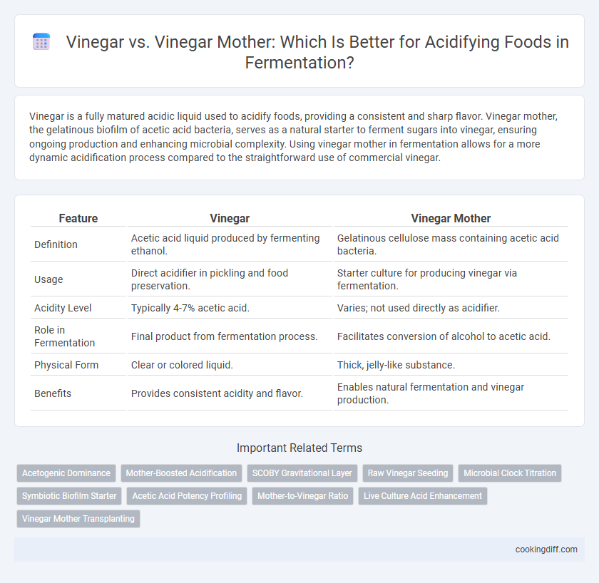 Vinegar vs. Vinegar Mother: Which Is Better for Acidifying Foods in Fermentation?