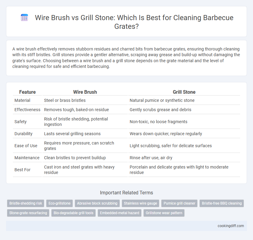 Wire Brush vs Grill Stone: Which Is Best for Cleaning Barbecue Grates?