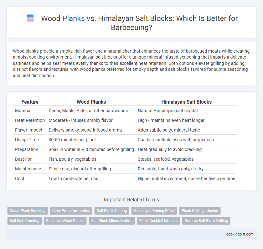 Wood Planks vs. Himalayan Salt Blocks: Which Is Better for Barbecuing?