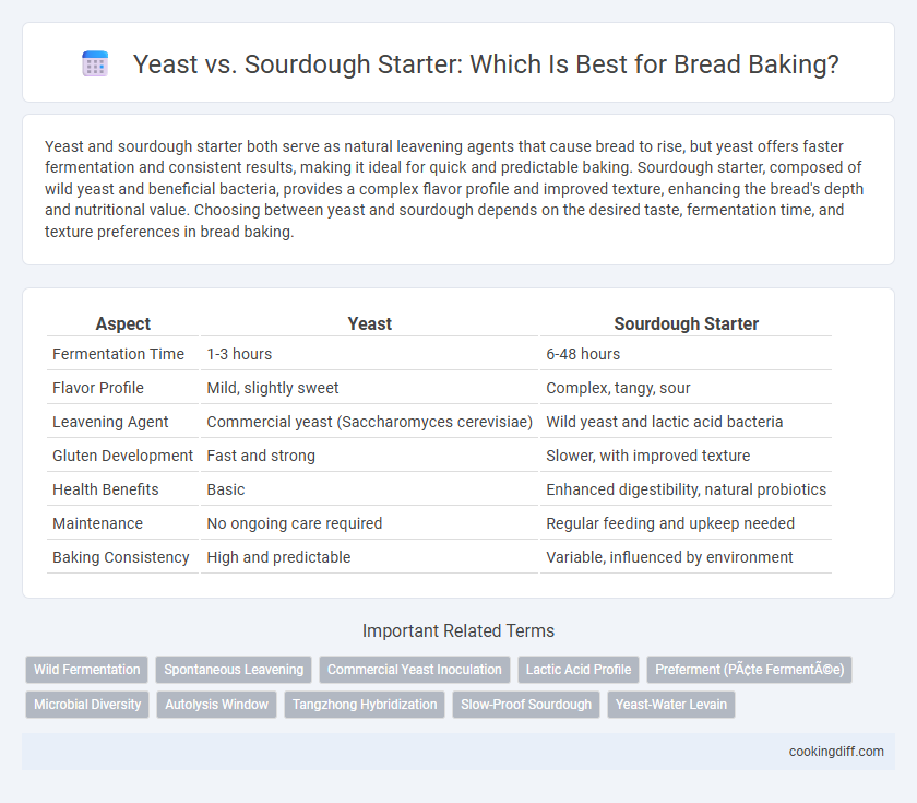 Yeast vs. Sourdough Starter: Which Is Best for Bread Baking?