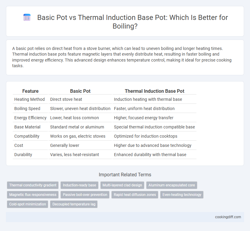 Basic Pot vs Thermal Induction Base Pot: Which Is Better for Boiling?