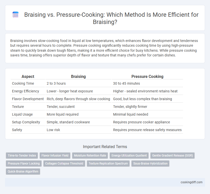 Braising vs. Pressure-Cooking: Which Method Is More Efficient for Braising?