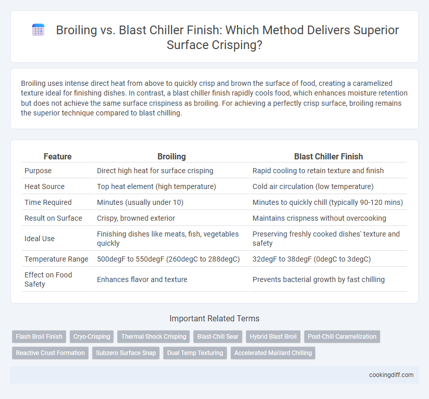 Broiling vs. Blast Chiller Finish: Which Method Delivers Superior Surface Crisping?