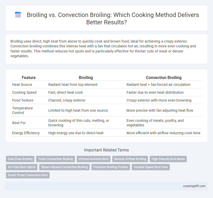 Broiling vs. Convection Broiling: Which Cooking Method Delivers Better Results?