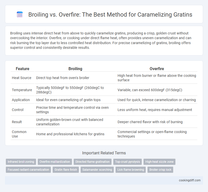 Broiling vs. Overfire: The Best Method for Caramelizing Gratins
