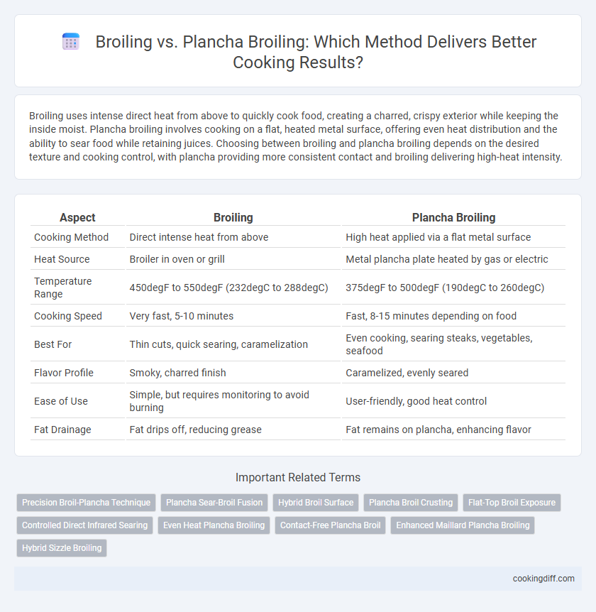Broiling vs. Plancha Broiling: Which Method Delivers Better Cooking Results?