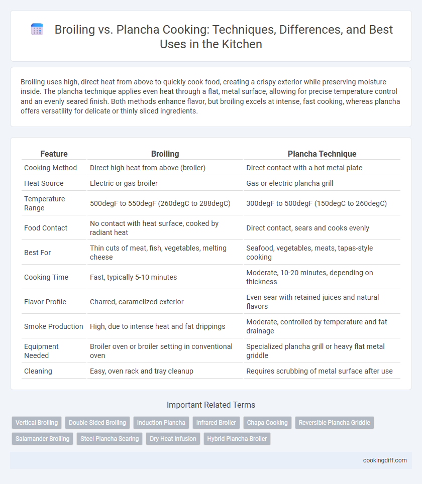 Broiling vs. Plancha Cooking: Techniques, Differences, and Best Uses in the Kitchen