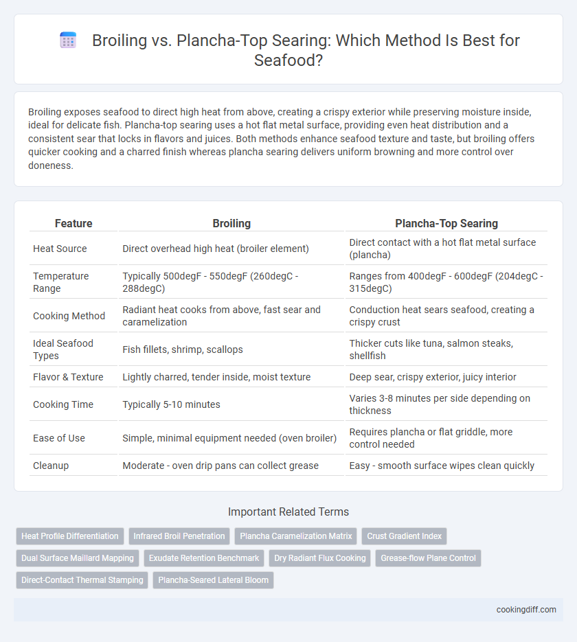 Broiling vs. Plancha-Top Searing: Which Method Is Best for Seafood?