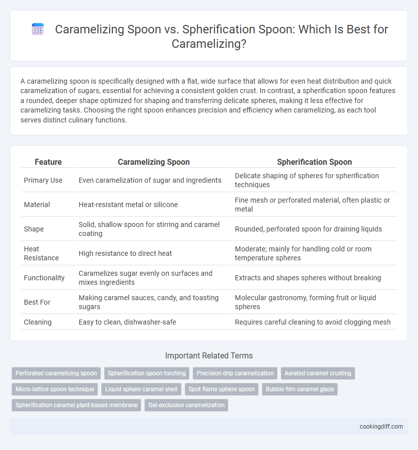 Caramelizing Spoon vs. Spherification Spoon: Which Is Best for Caramelizing?