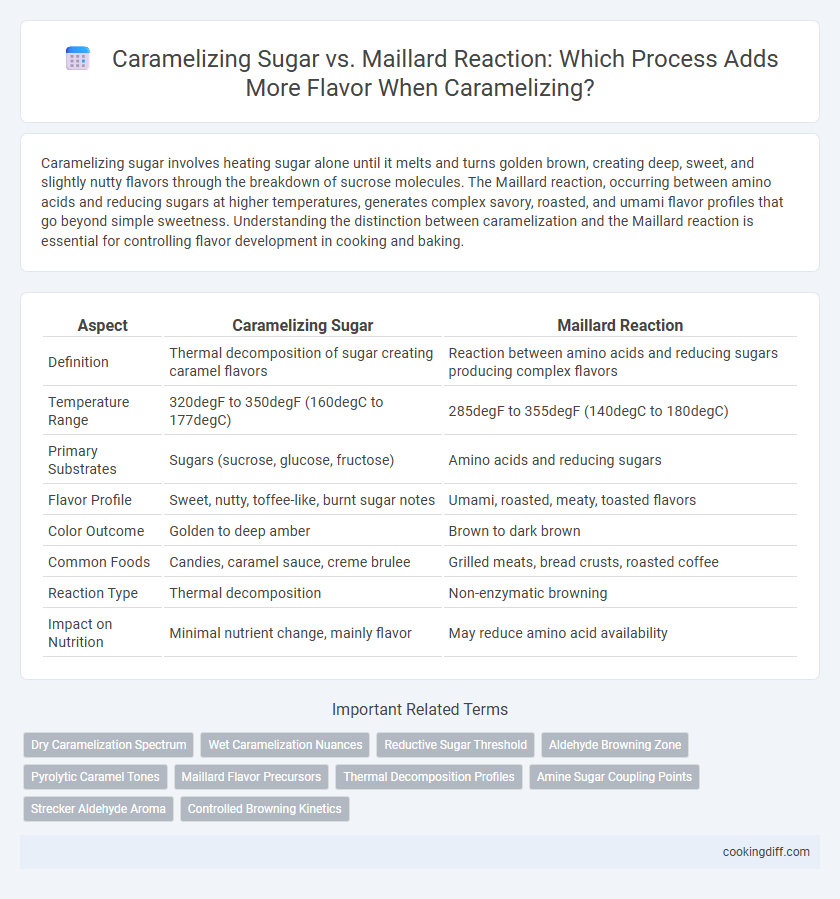 Caramelizing Sugar vs. Maillard Reaction: Which Process Adds More Flavor When Caramelizing?