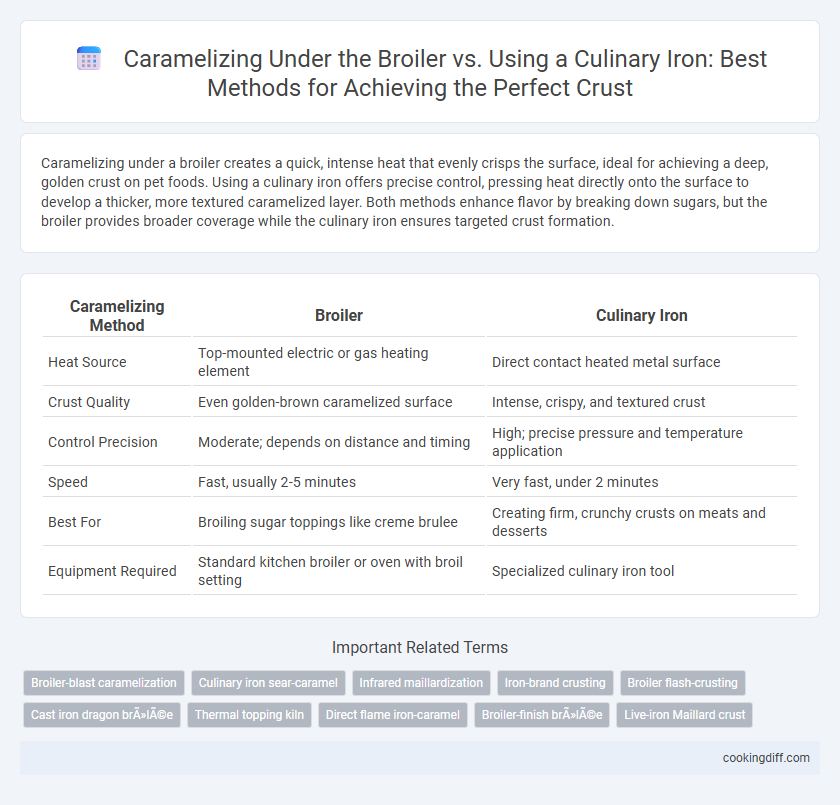 Caramelizing Under the Broiler vs. Using a Culinary Iron: Best Methods for Achieving the Perfect Crust