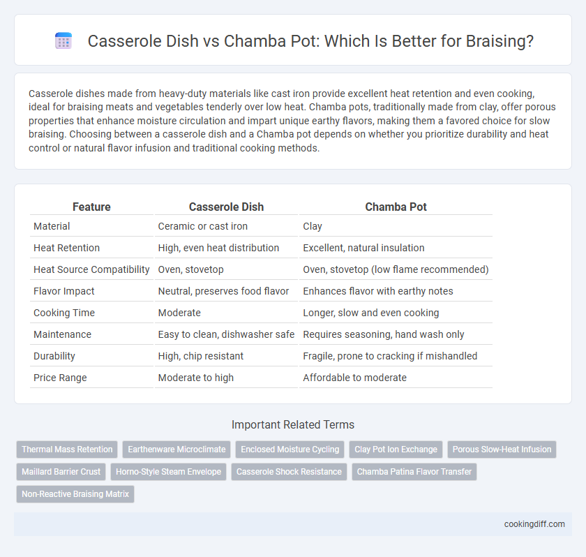 Casserole Dish vs Chamba Pot: Which Is Better for Braising?