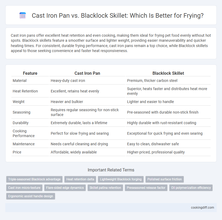 Cast Iron Pan vs. Blacklock Skillet: Which Is Better for Frying?