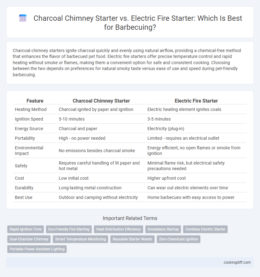 Charcoal Chimney Starter vs. Electric Fire Starter: Which Is Best for Barbecuing?