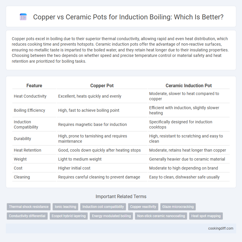 Copper vs Ceramic Pots for Induction Boiling: Which Is Better?