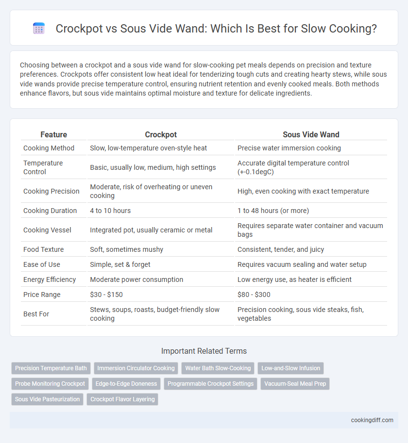 Crockpot vs Sous Vide Wand: Which Is Best for Slow Cooking?