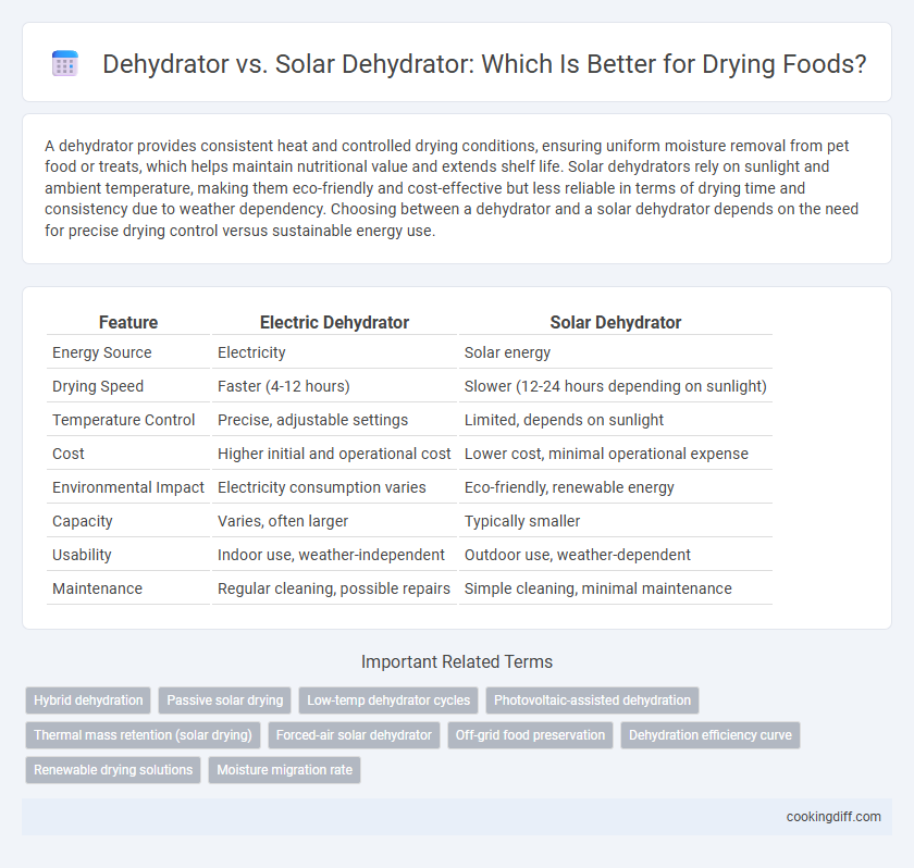 Dehydrator vs. Solar Dehydrator: Which Is Better for Drying Foods?