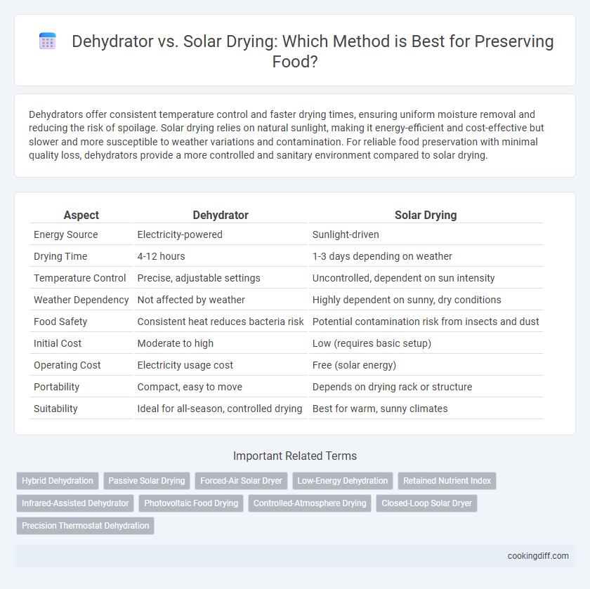 Dehydrator vs. Solar Drying: Which Method is Best for Preserving Food?