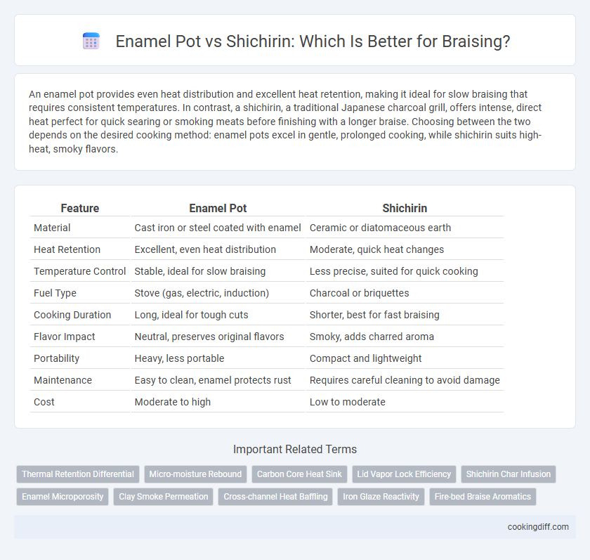 Enamel Pot vs Shichirin: Which Is Better for Braising?