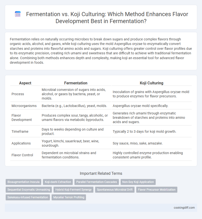Fermentation vs. Koji Culturing: Which Method Enhances Flavor Development Best in Fermentation?