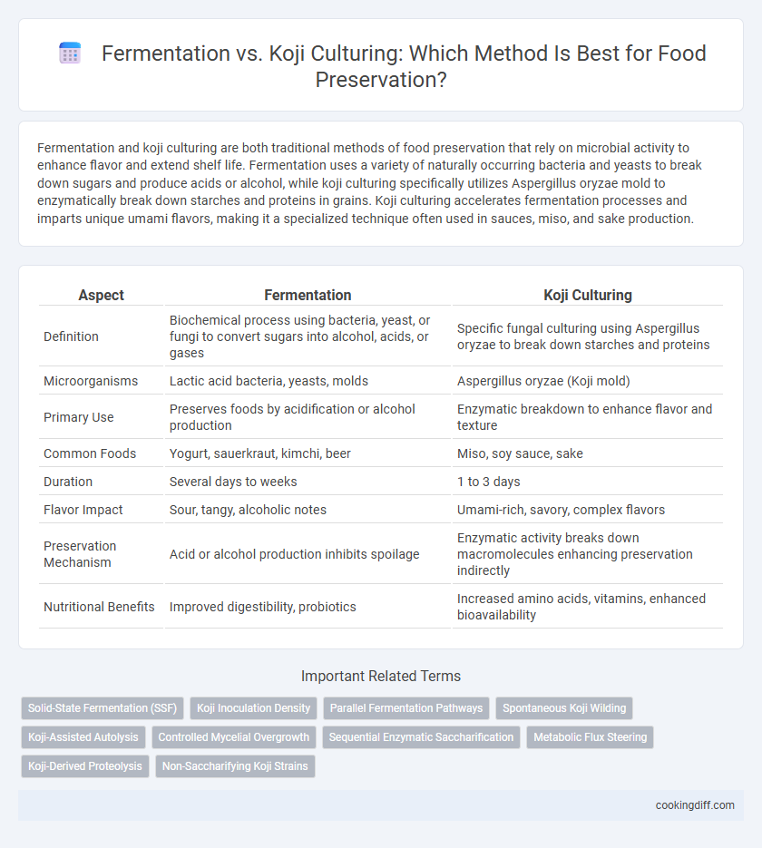Fermentation vs. Koji Culturing: Which Method Is Best for Food Preservation?