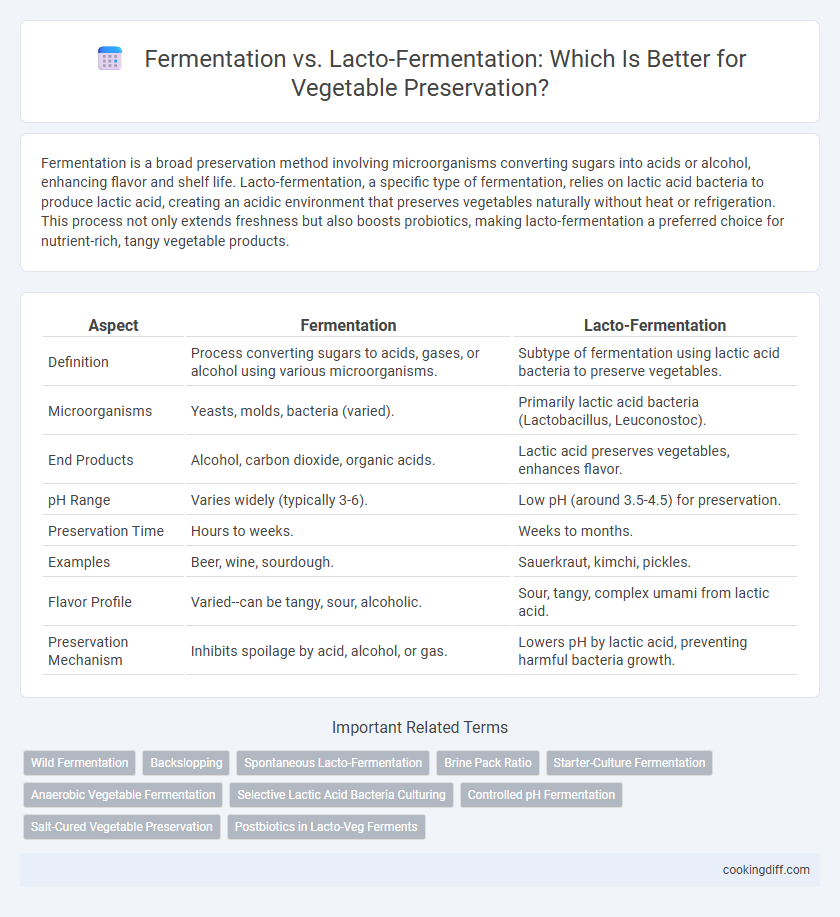 Fermentation vs. Lacto-Fermentation: Which Is Better for Vegetable Preservation?