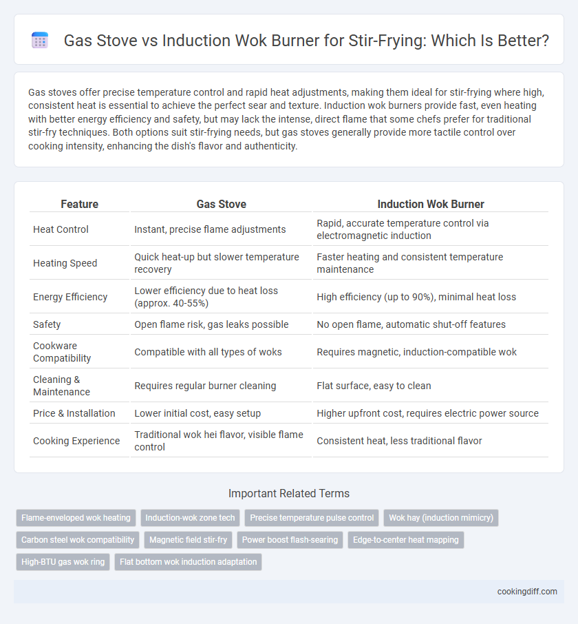 Gas Stove vs Induction Wok Burner for Stir-Frying: Which Is Better?