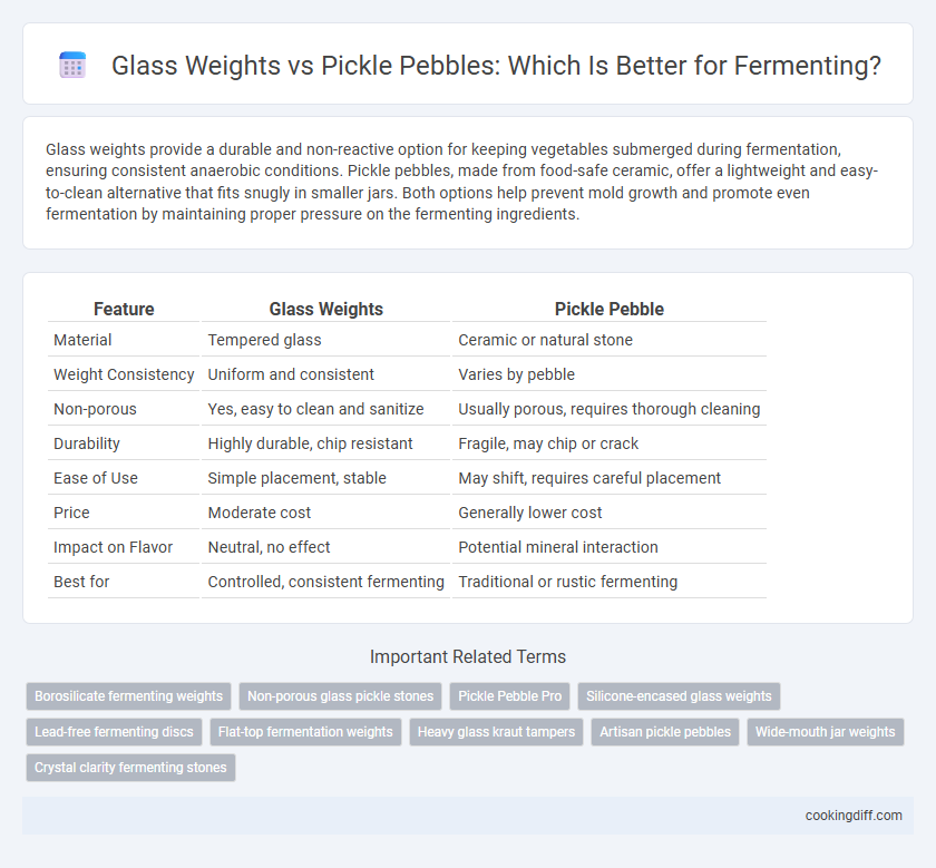 Glass Weights vs Pickle Pebbles: Which Is Better for Fermenting?