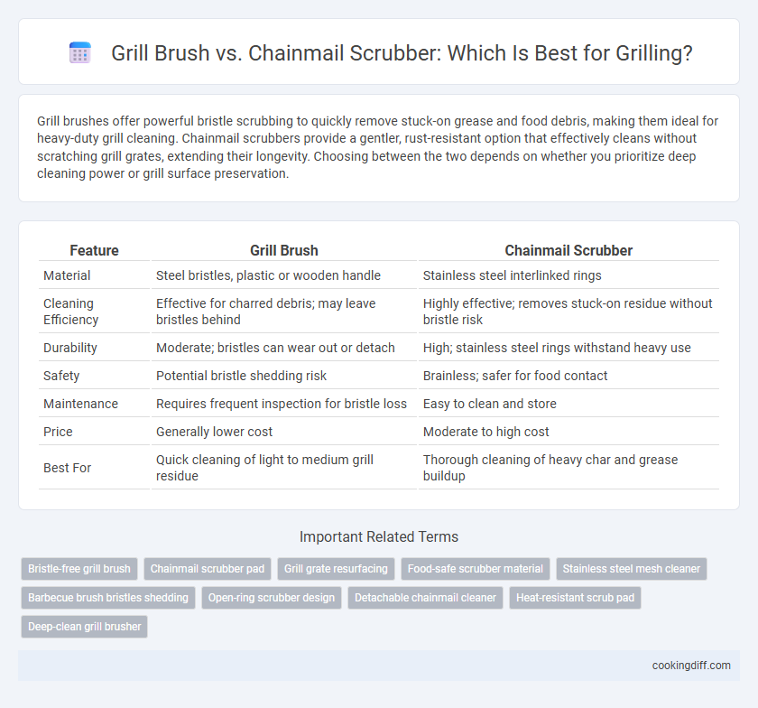 Grill Brush vs. Chainmail Scrubber: Which Is Best for Grilling?