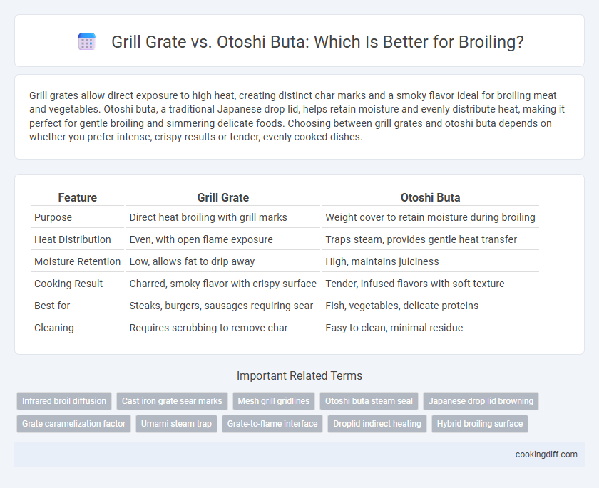 Grill Grate vs. Otoshi Buta: Which Is Better for Broiling?