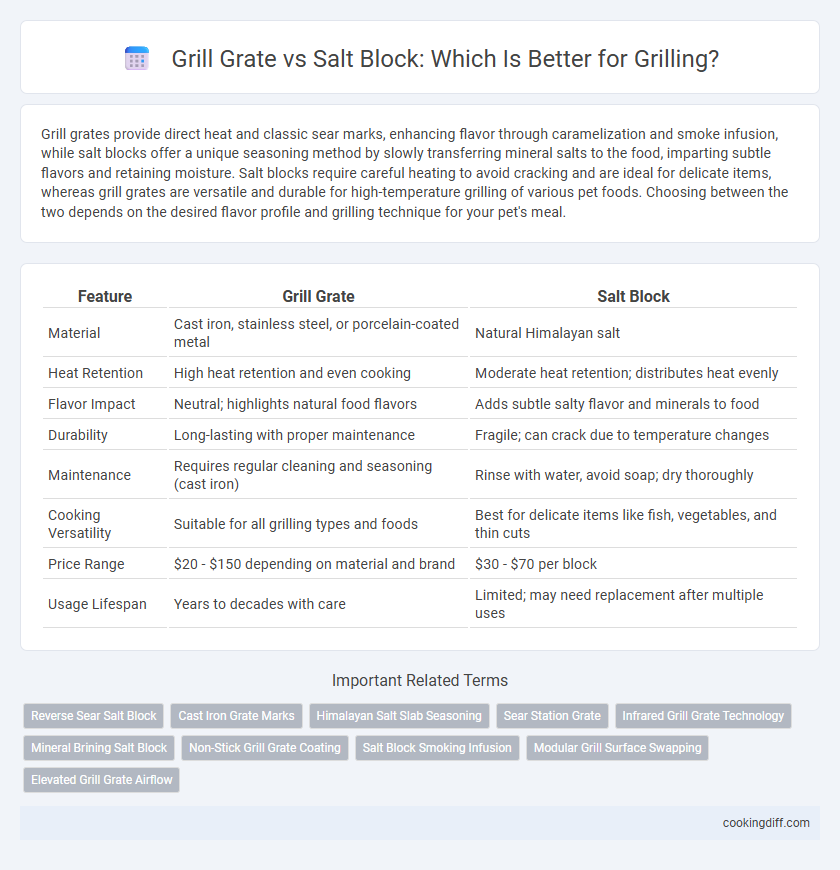 Grill Grate vs Salt Block: Which Is Better for Grilling?