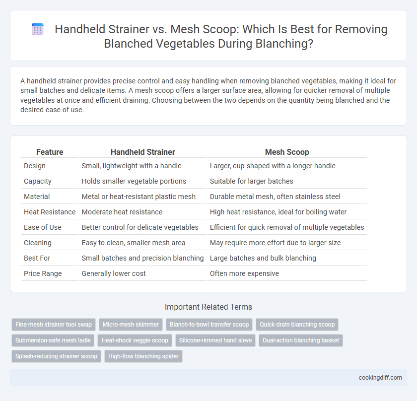 Handheld Strainer vs. Mesh Scoop: Which Is Best for Removing Blanched Vegetables During Blanching?